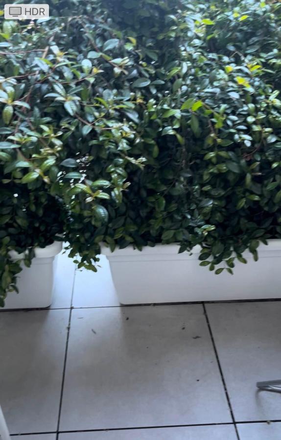 Loft Mono 3 Apartment Cagliari Ngoại thất bức ảnh